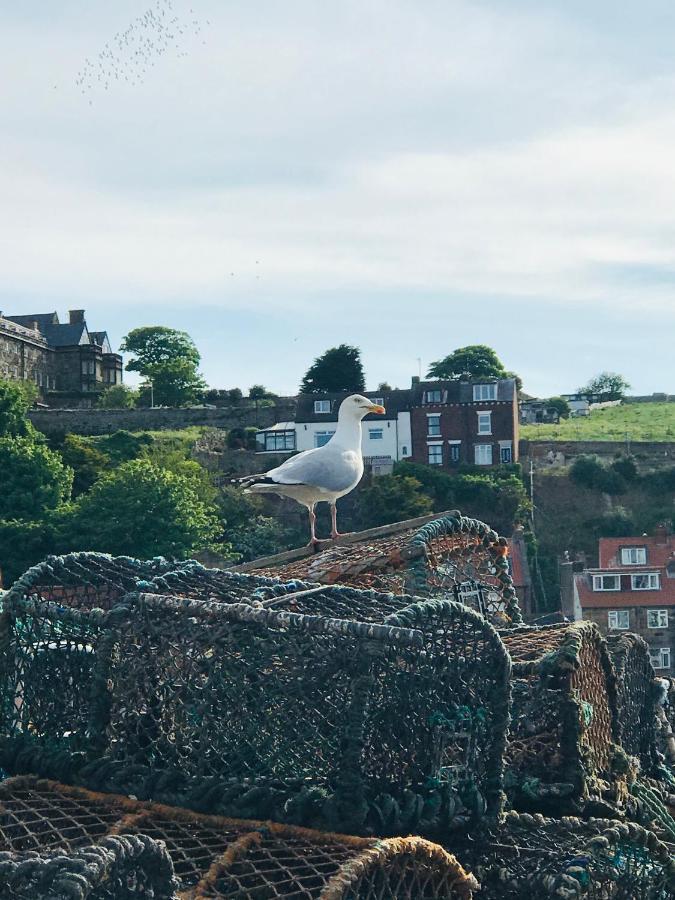 Mooredge B&B Whitby Zewnętrze zdjęcie